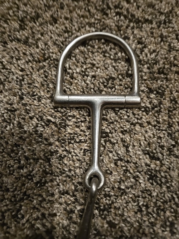 d ring snaffle bit