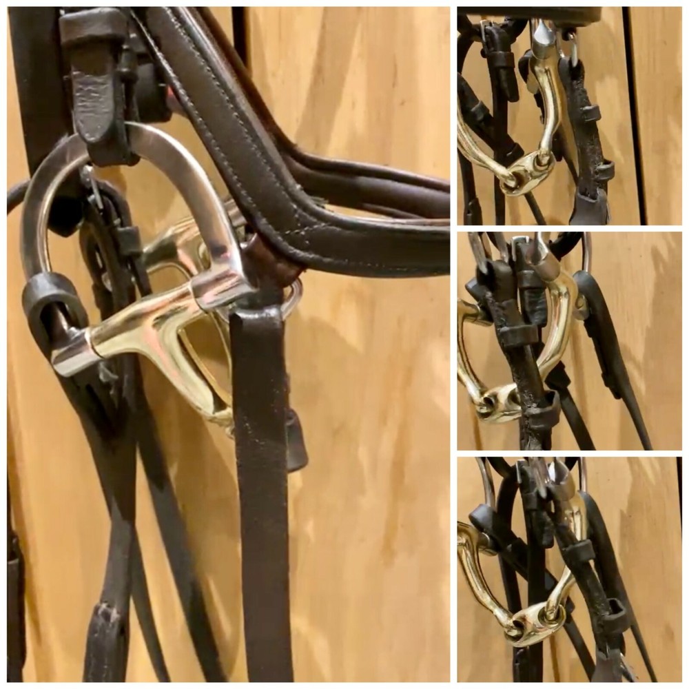 D-Ring 14MM Curved Turtle Angled MP Snaffle Bit (UKSALES25®)*SAME DAY DISPATCH*