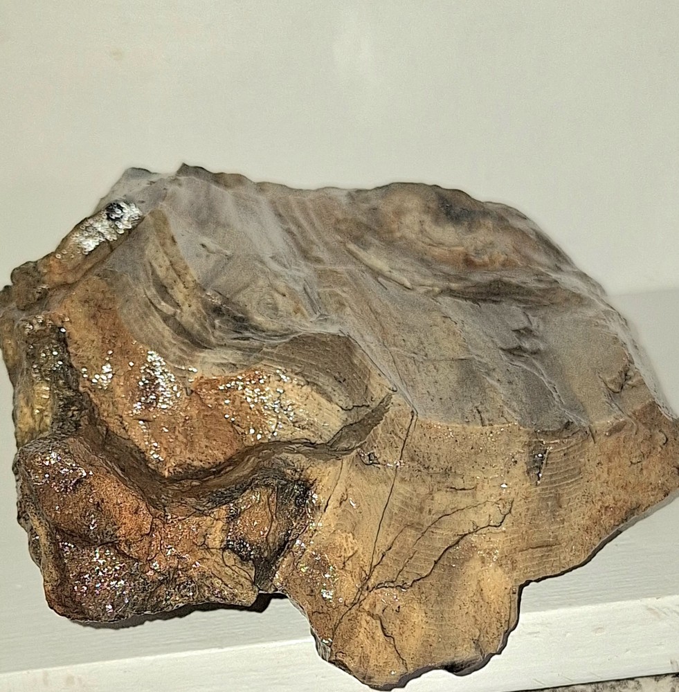 Petrified Wood