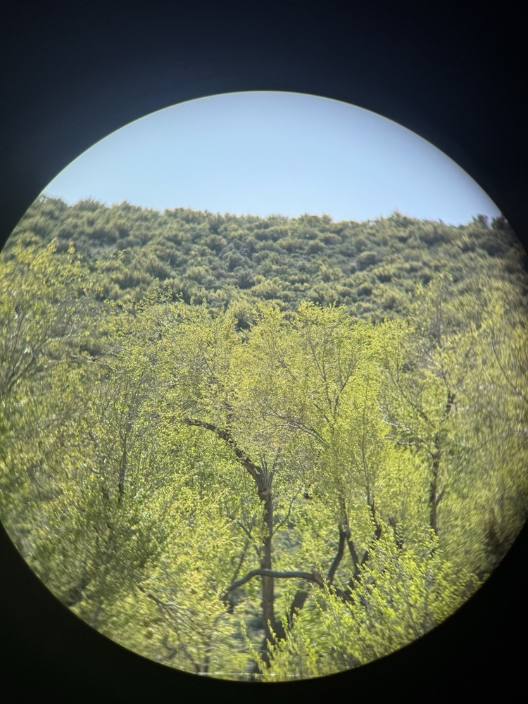 ZEISS Victory HT 10x54 Binoculars