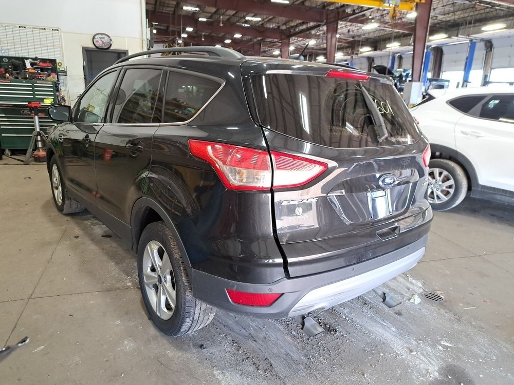 2015 Escape Jack Sku#4182999