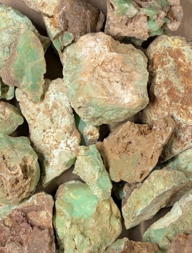 Chrysoprase Cabochon - Tanzania