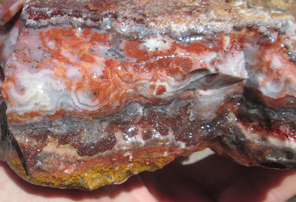 CRAZY LACE AGATE ROUGH ~ 5 lbs 5 ozs