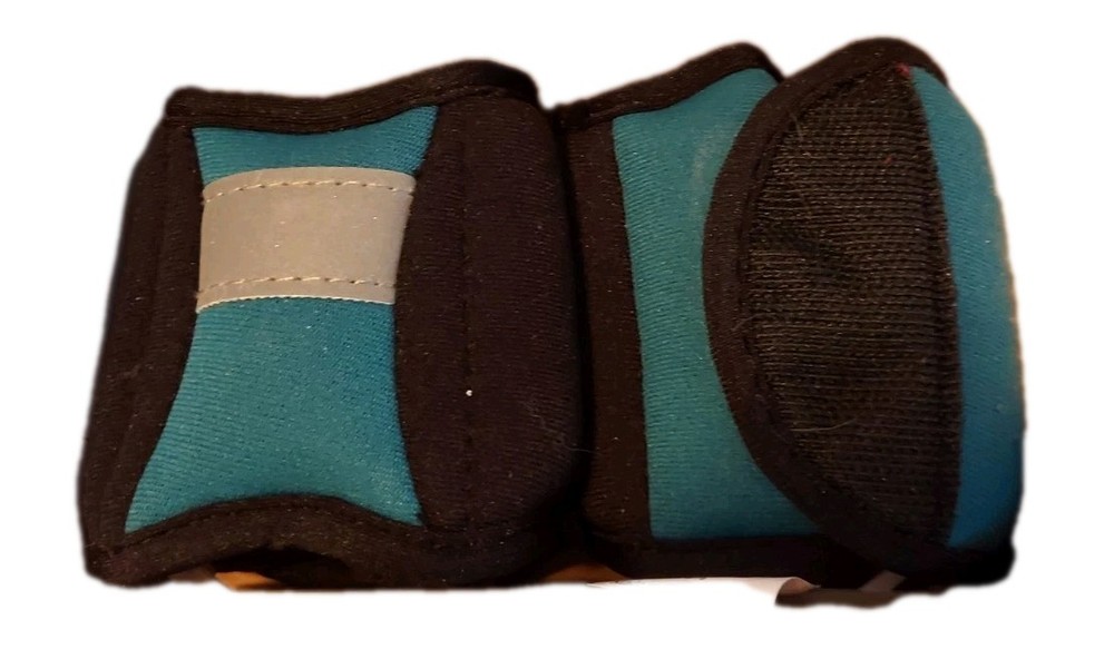 Danskin Walking Weights 2lb Pair New In Box