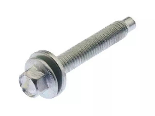 Genuine Ignition Coil Bolt W503280-S437