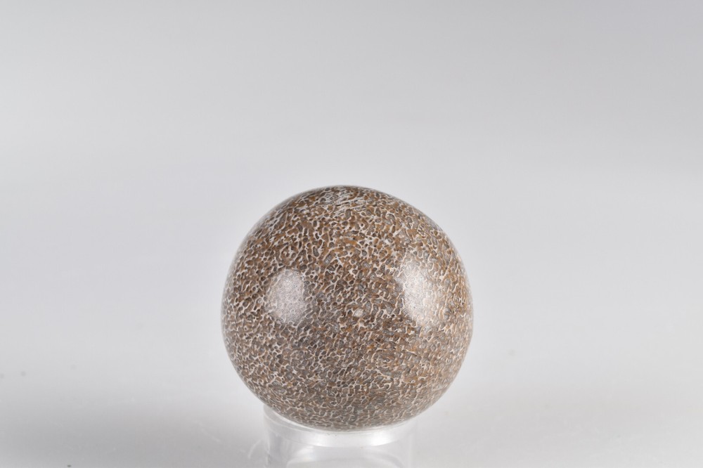Dinosaur Bone Sphere from Morocco 4.3 cm # 21232