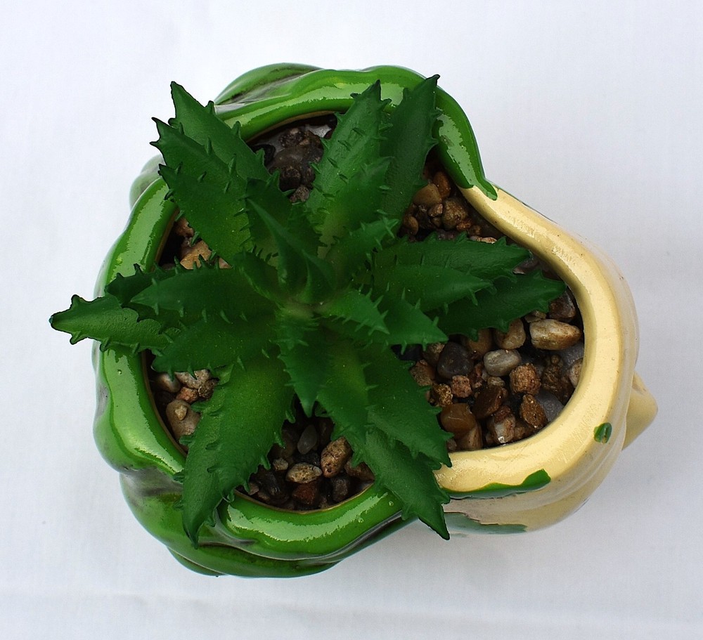 BEETLEJUICE Head - 3" Mini Planter with Artificial Aloe Succulent