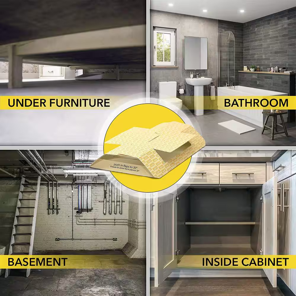 Roach Trap Value Pack