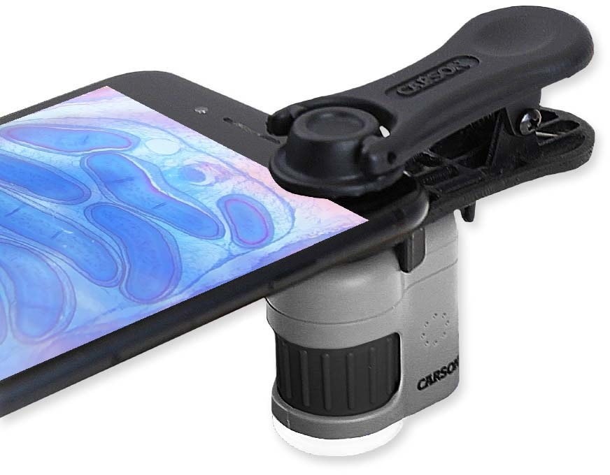 Carson MicroMini HookUpz 20X Microscope, Black/Grey, MM-380