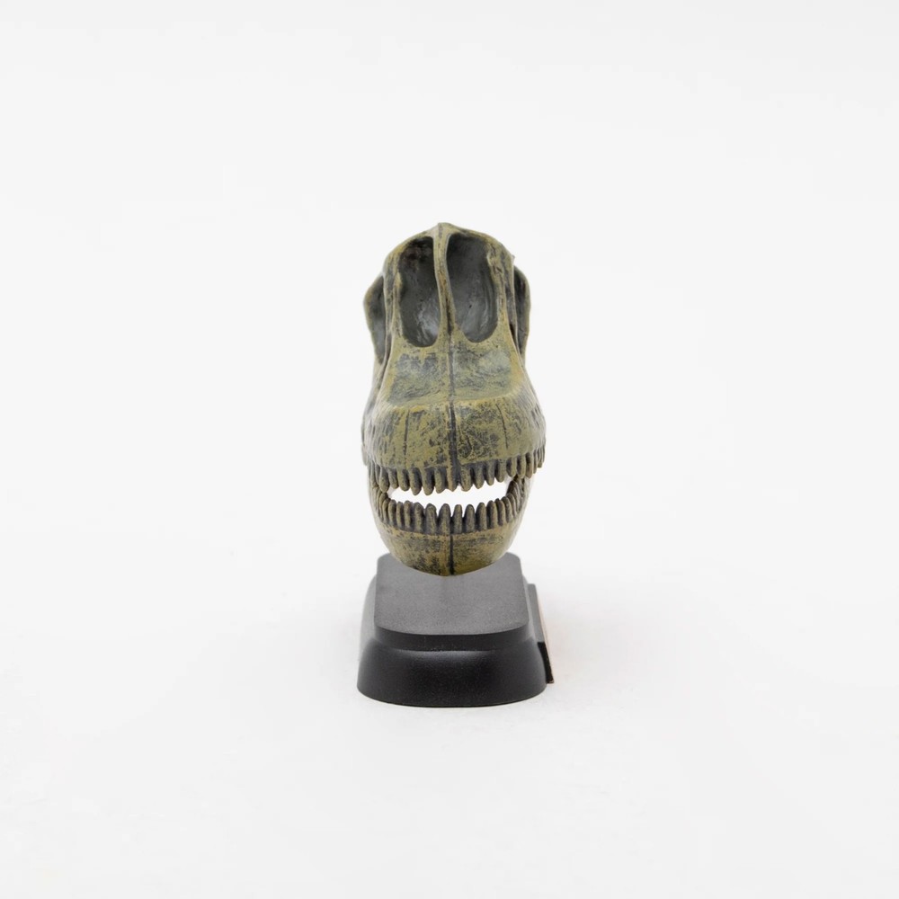 Dinosaur Brachiosaurus Skull Mini Figure Mini Model Favorite New