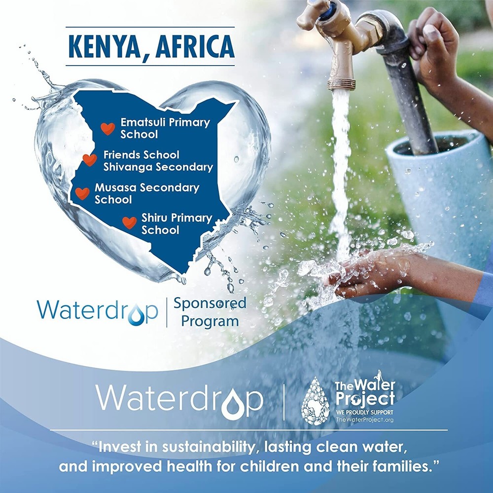 Waterdrop PureSource2® Water Filter Replacement for WF2CB®, NGFC 2000, FC100 (3)