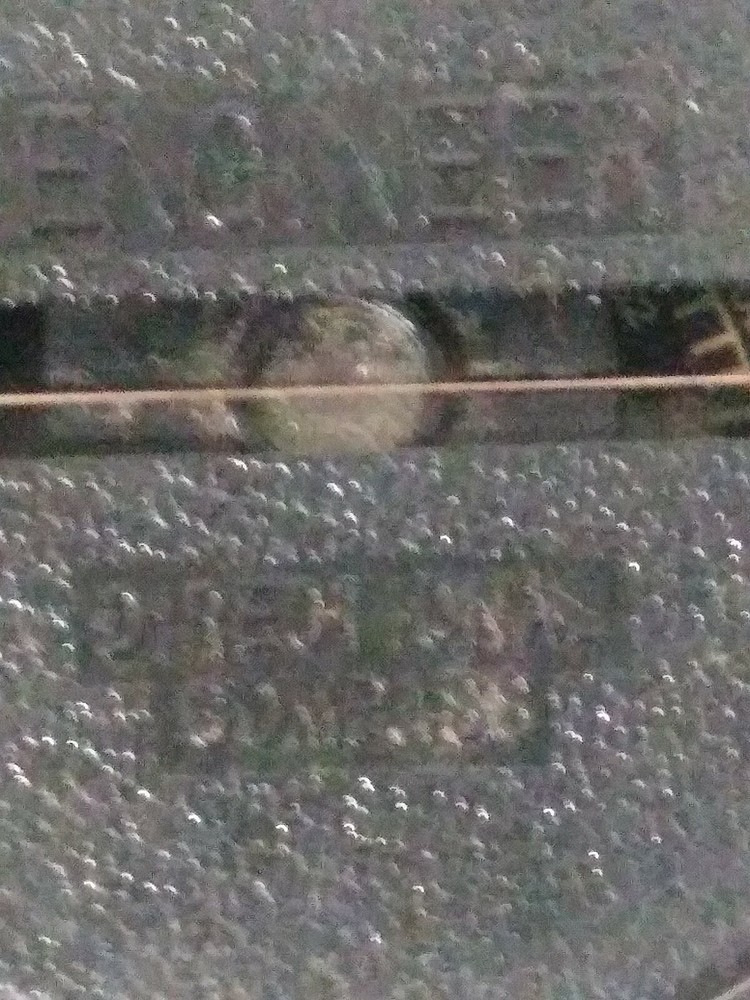 Engineer Directional Compass Black Plastic. D5