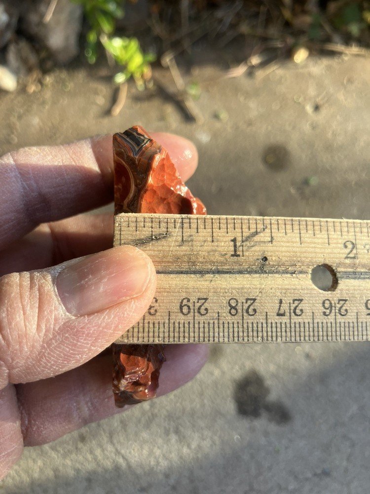 Crazy Lace Agate (End Cut)