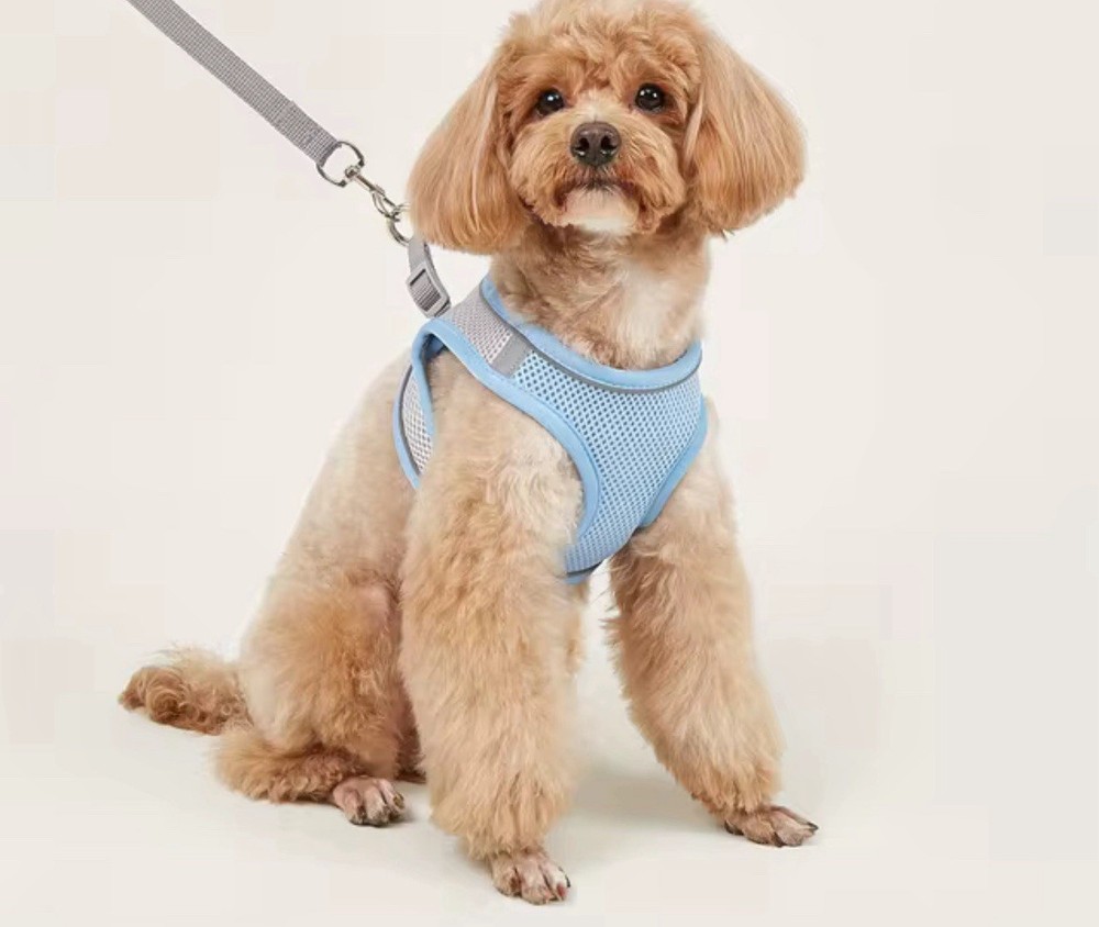 New Medium Size No Pull Breathable Mesh Dog Harness Pet Vest