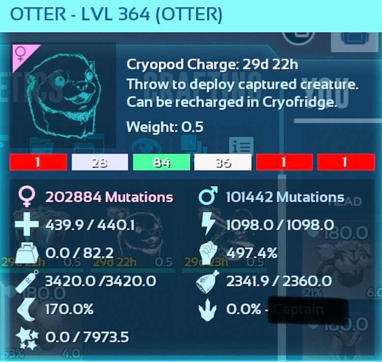 Solid Red Otter Breeding Pair Ark Survival Ascended PVE ASA