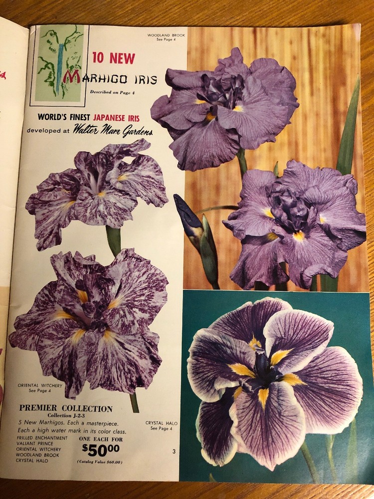 1959 Walter Marx Gardens Boring Oregon Mail Order Catalog