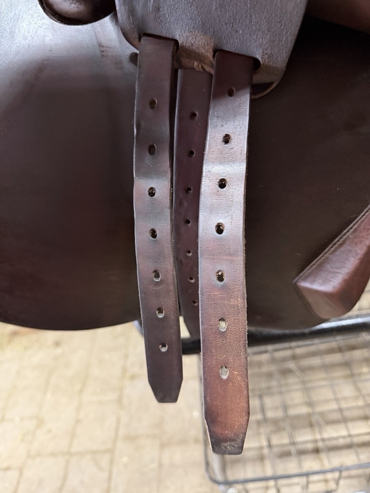 Antares Evolution Close Contact Jump Saddle 17" MW