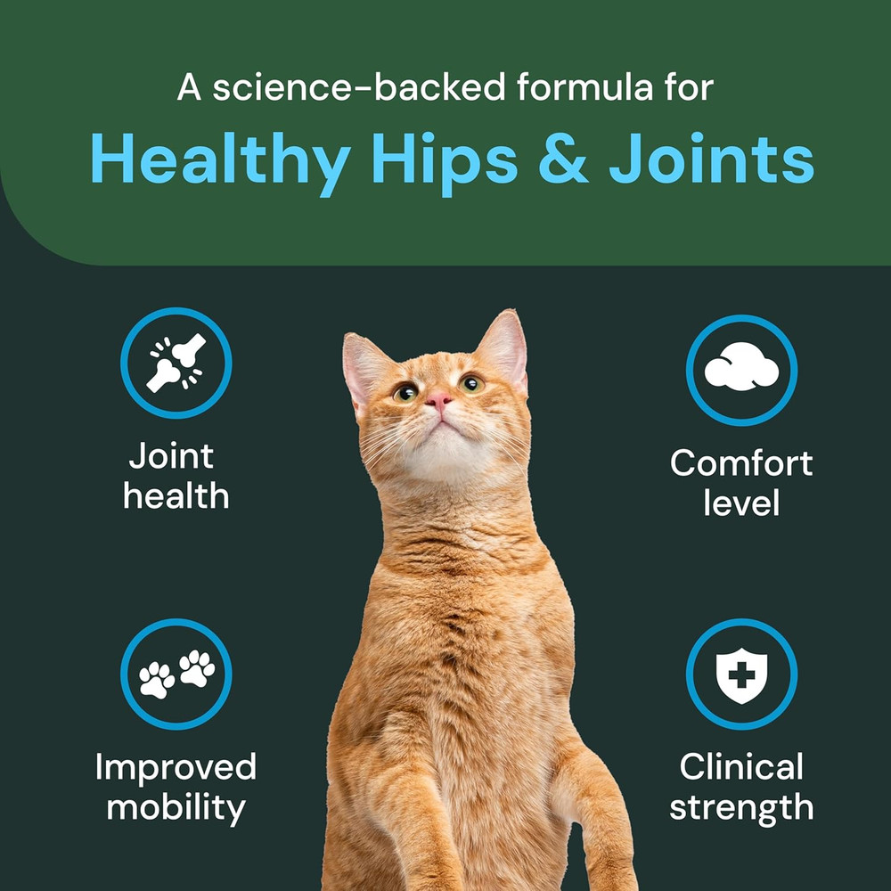 Vetriscience Veterinary Strength Healthy Hip & Joint Chews - Cat Joint & Soft Ti