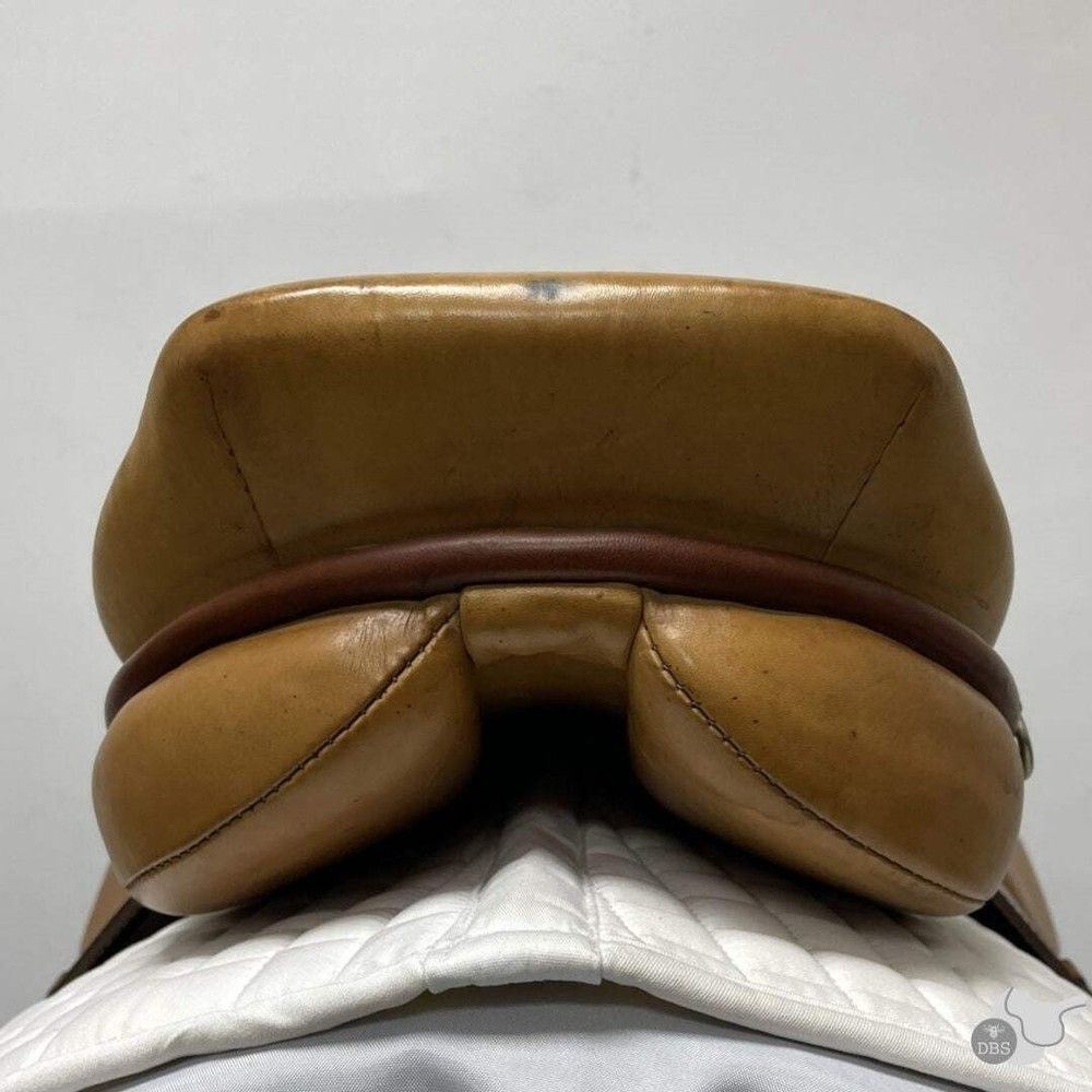 Courbette Alpina Jumping Saddle 17" M