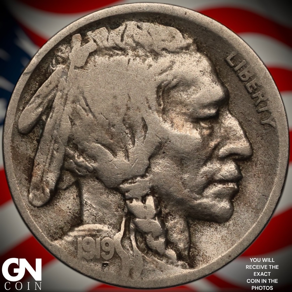 1919 D Buffalo Nickel A3426
