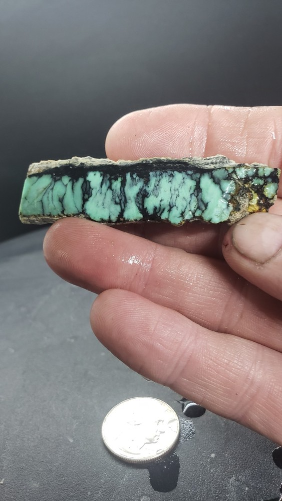 Nevada Saguaro Variscite Slab