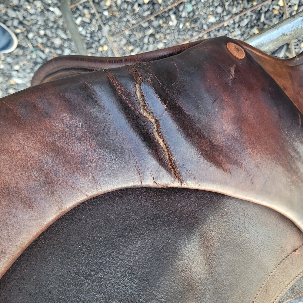 Whippy 17.5" Close Contact Saddle