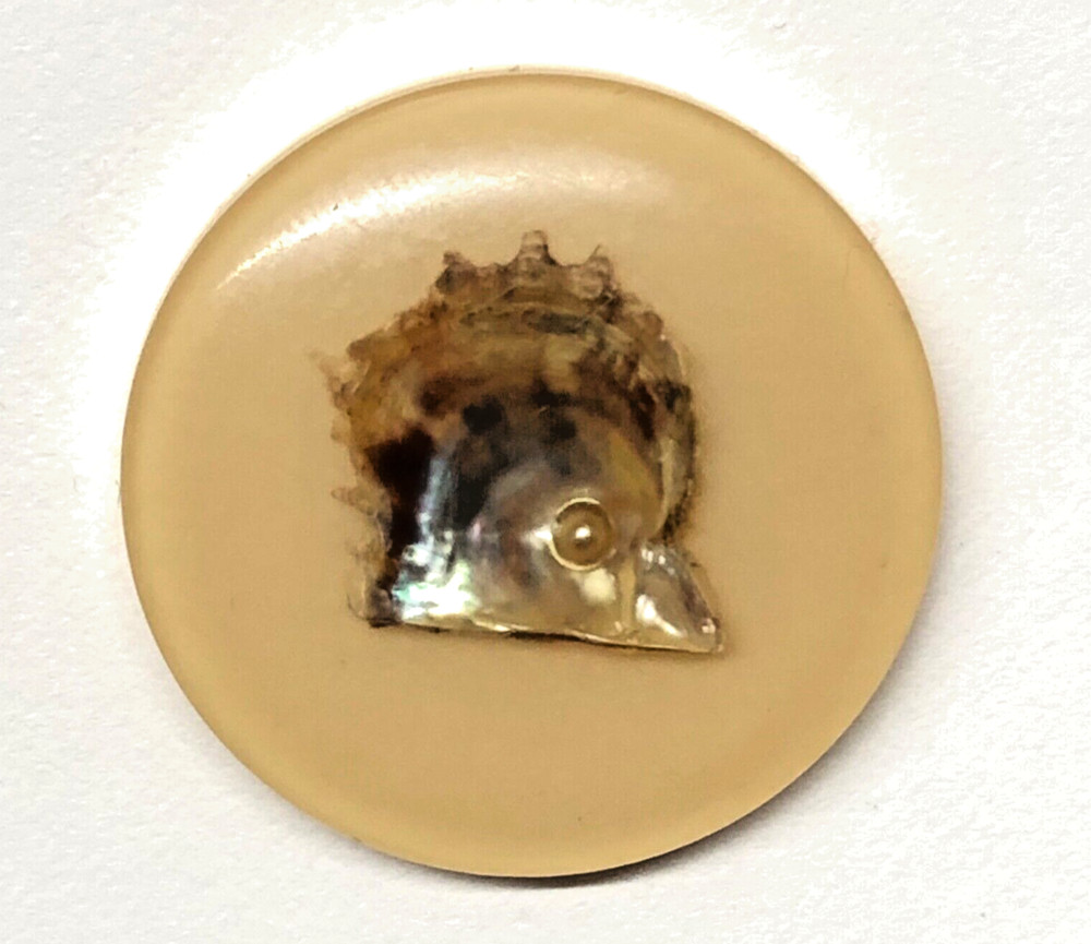 Seashell Embedded in XL Tan Plastic Button