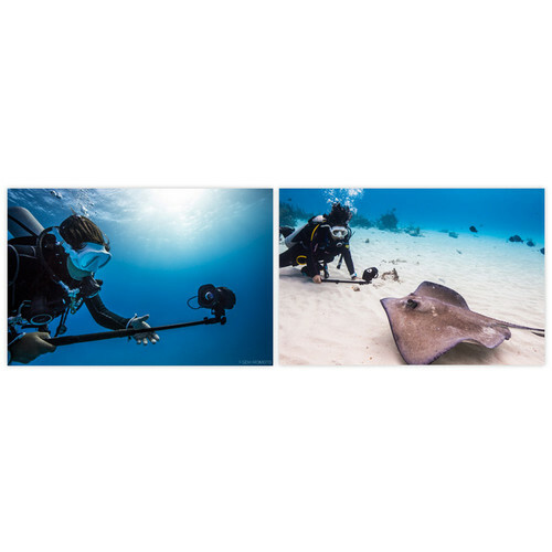 SeaLife Aquapod Mini Camera Pole