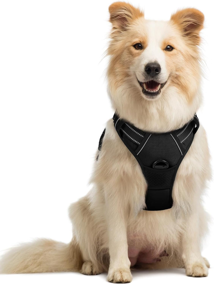 Dog Harness No Pull with 2 Leash Clips, Adjustable Soft Padded, Reflective Oxfor