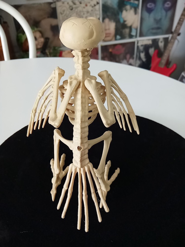 Greenbrier skeleton mini bird crow Halloween prop decor