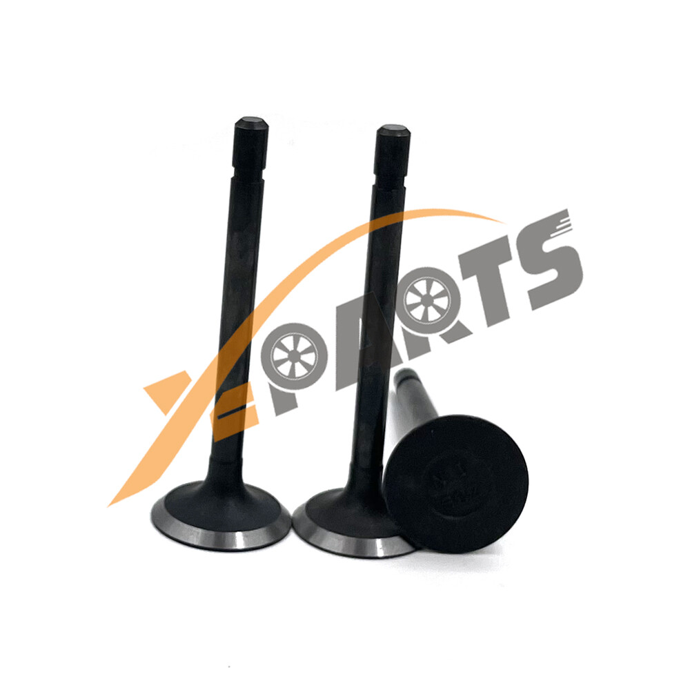 D850 Valve Kit for kubota engine