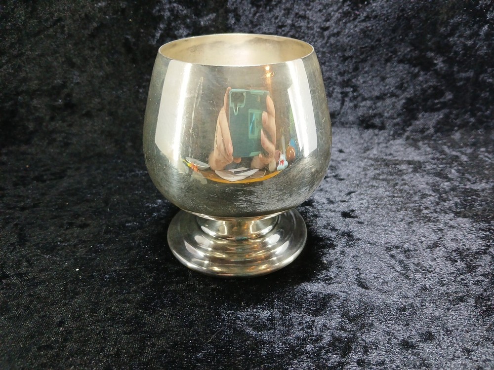 wm rogers silverplate Cup Fall 1970 Pledge Alpha Gama Delta