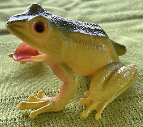 Exotic Frogs and Toads - Hollow Vinyl