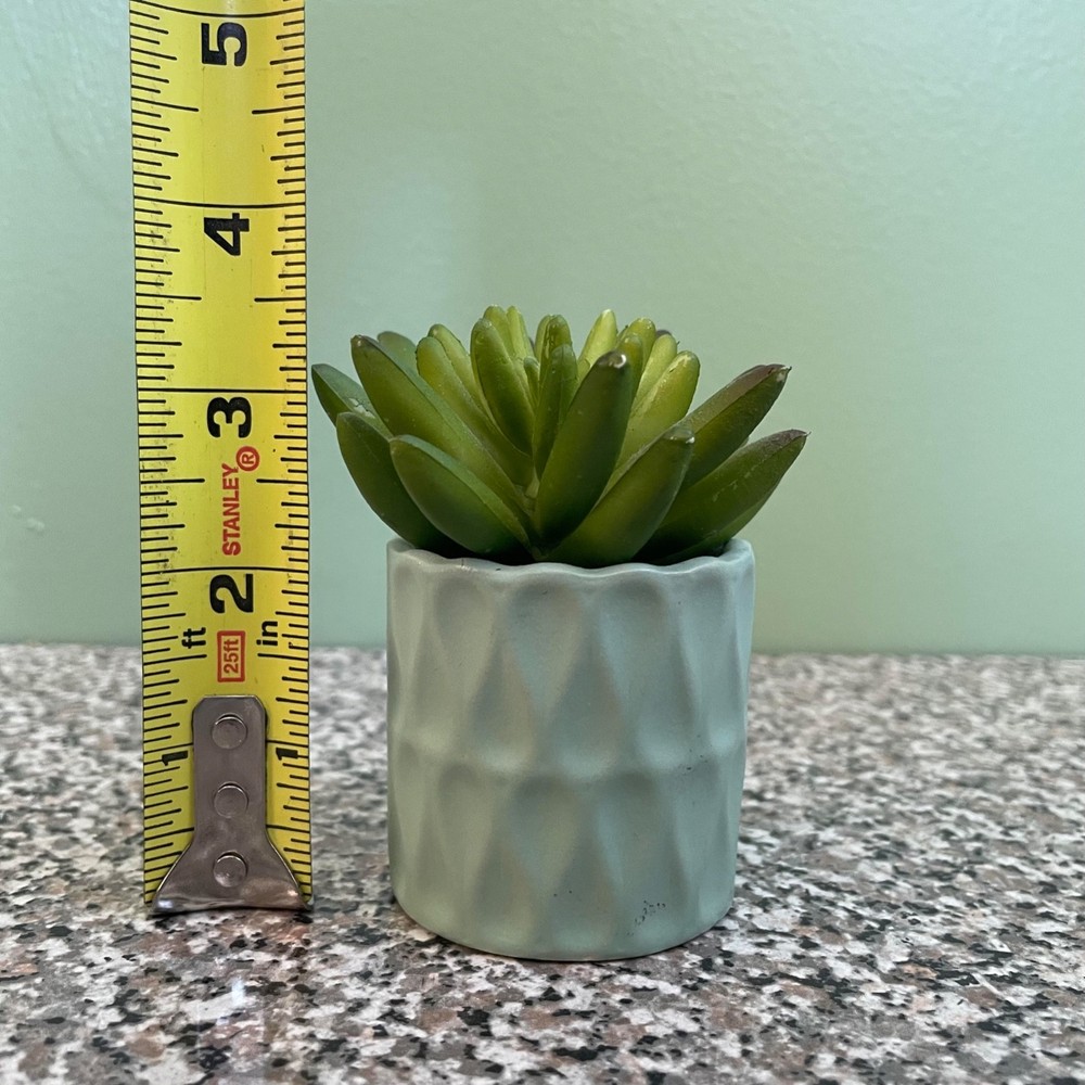 Small Ceramic Succulent Planter Pot Tiny Flower Plant Home Decor