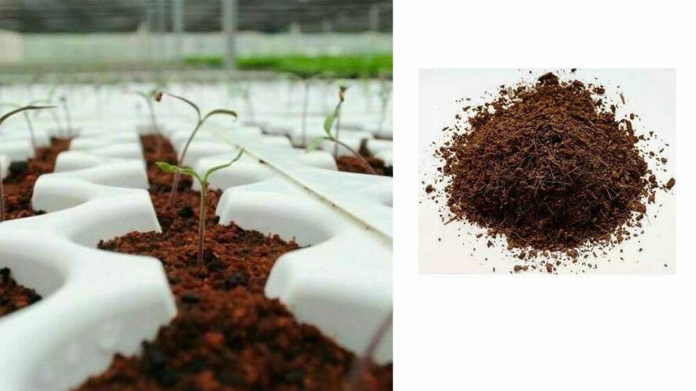 Organic Coco Coir/Coco Peat Hidroponic Media,Natural Highest Quality