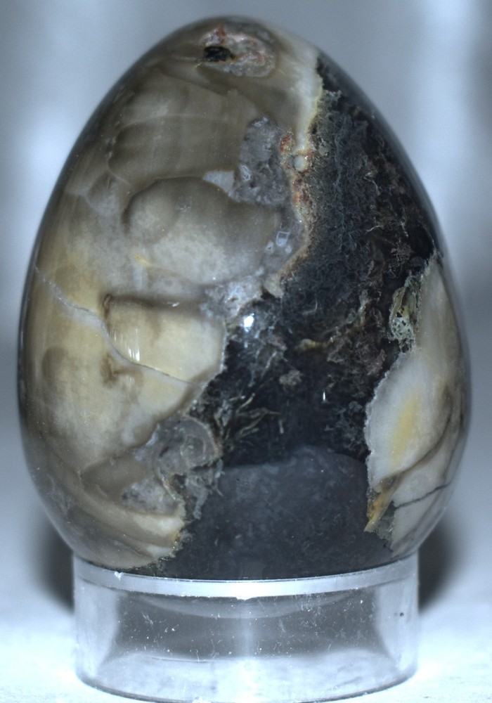Polychrome Jasper Egg w/Stand 2.18"/130 Grams