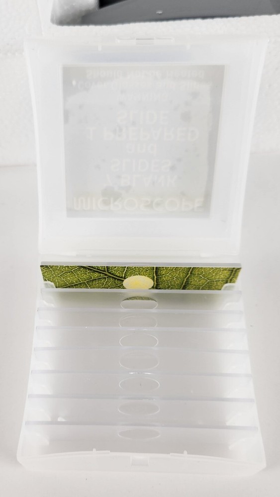 STEM Microscope With Light Source 100x, 200x, 450x, Kids, Educational, Ages 8+