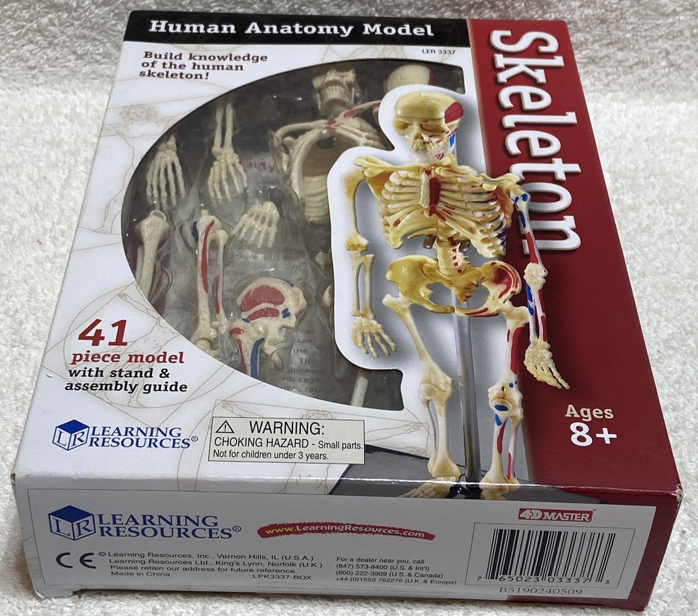Learning Resources Skeleton Model For Children**New**