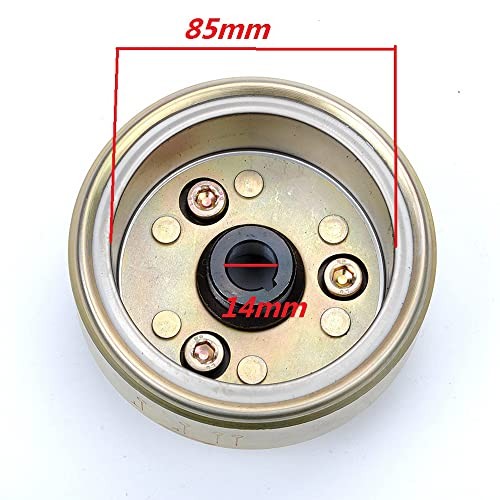6 coil Stator + Flywheel Roller Magneto Flywheel Stator Ignition Plate for