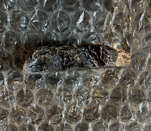 Lopi Bottom Left Twig Part # 250-05241.