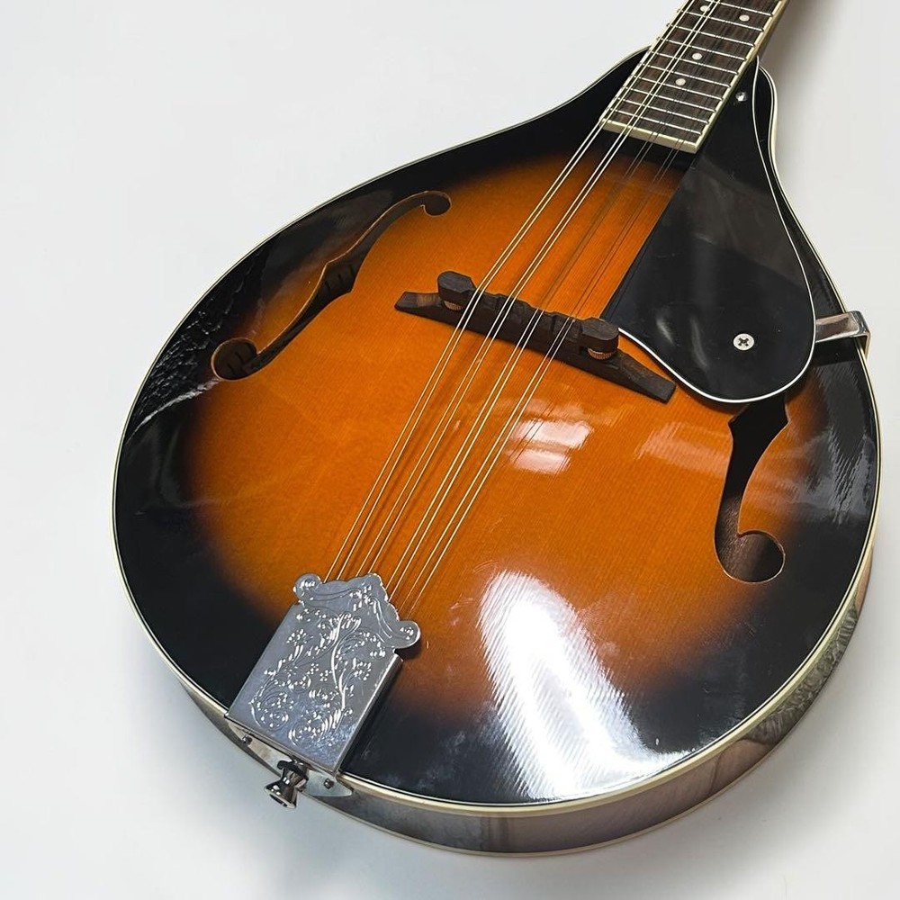 [Good condition/new strings] Aria AM20 8 string mandolin hard case included