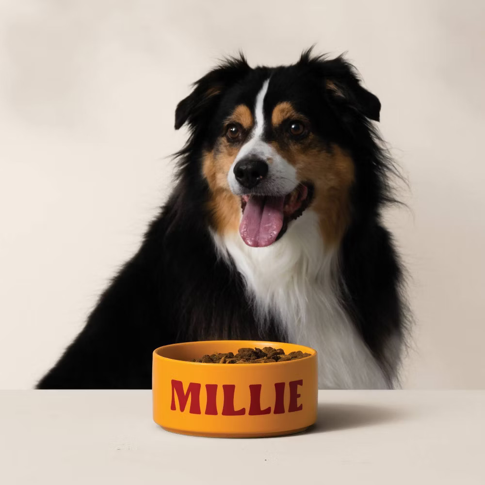 Cricut Joy Xtra Cutting Machine Personalization Making Edition Bundle