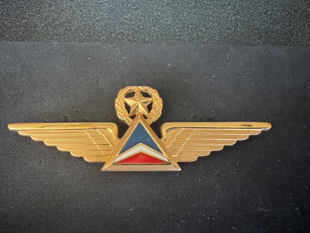 Vintage Delta Airlines Pilot Wings Pin Type 1