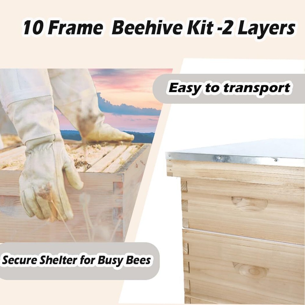 10-Frame Beehive Starter Kit, Honey Bee Hives Includes 1 Deep Bee Box 1 Medium B