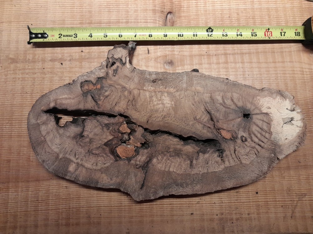 1 Inch Thick Oak Burl Slice