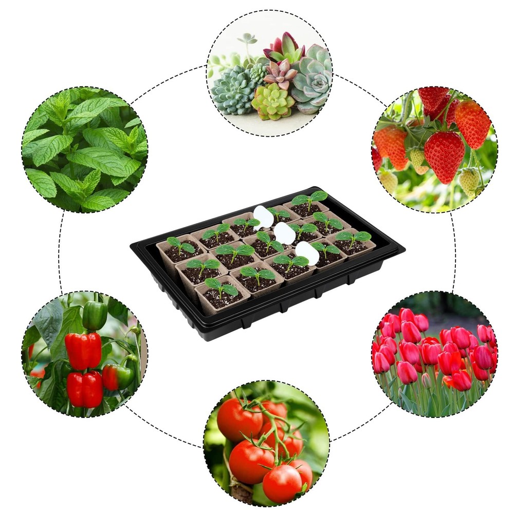 Aodaer 193 Pack Seed Starter Kit Including Seed Starter Tray Peat Pots for Se...