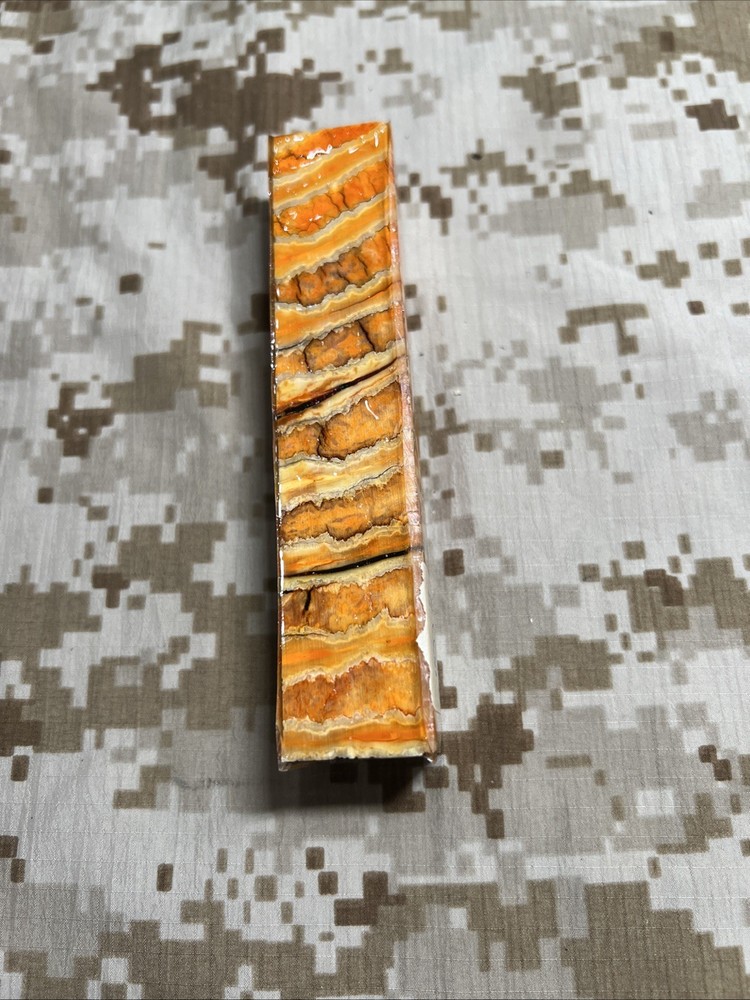 Pen Turning Blank fossil mastodon tooth