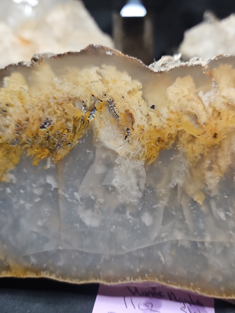 Graveyard Plume Agate Slab Specimen (11oz)