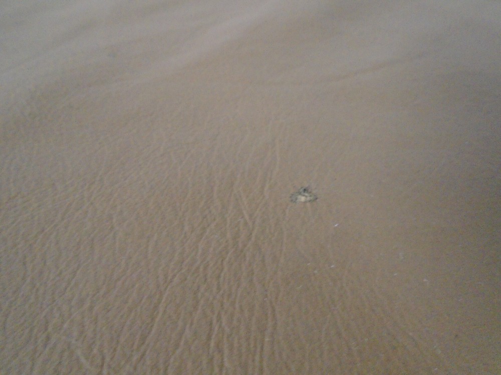 Top Grain Lamb Leather #0018909 Row 9