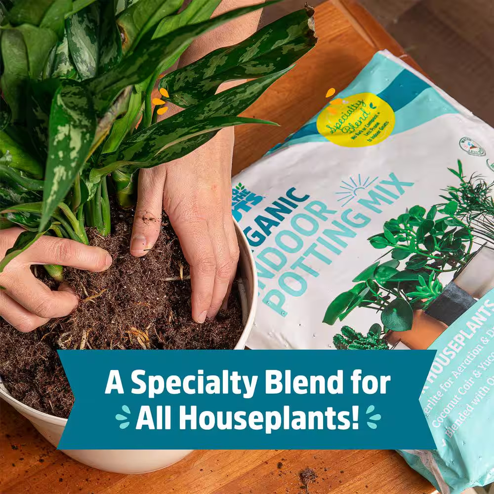 6 Qt. Organic Indoor Potting Mix Soil (2-Pack)